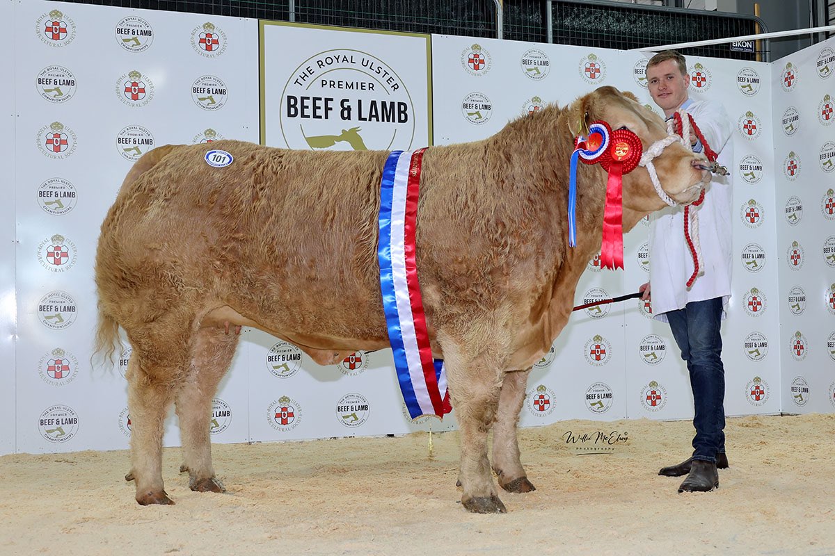 2022 Royal Ulster Premier Beef & Lamb Championships