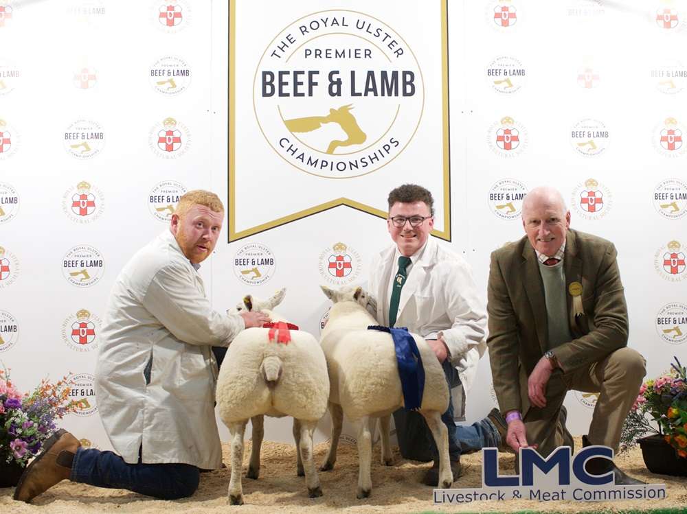 2025 Royal Ulster Premier Beef & Lamb Championships