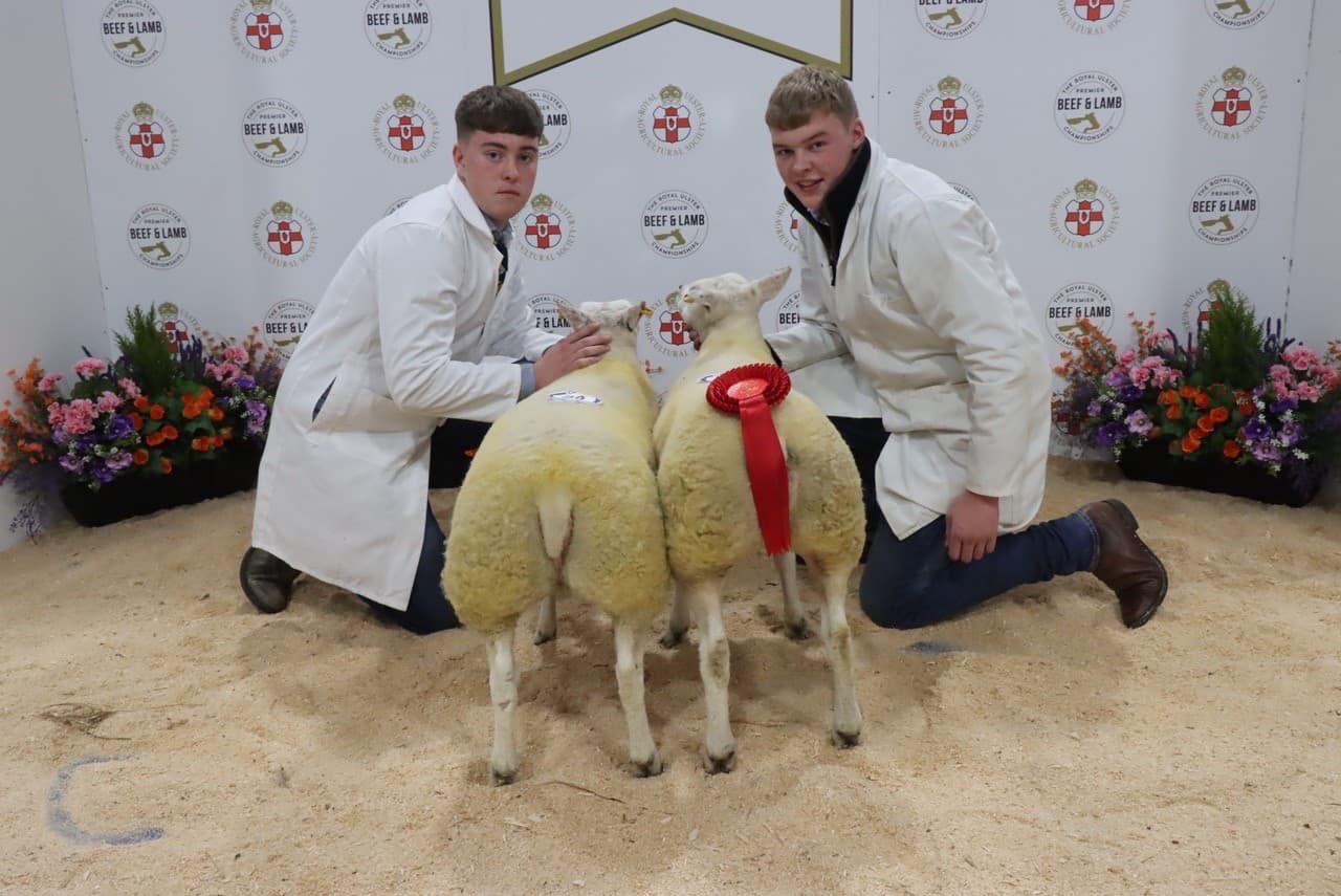 2023 Royal Ulster Premier Beef & Lamb Championships
