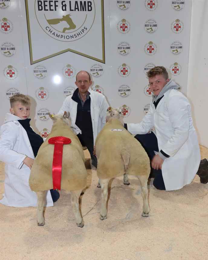 Best Pair of Beltex lambs (36-42.5kg)