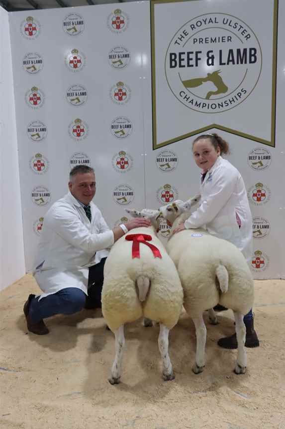 Best Pair Of Beltex Lambs Over 42.5kg