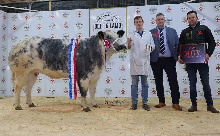 Breeding Heifer Champion