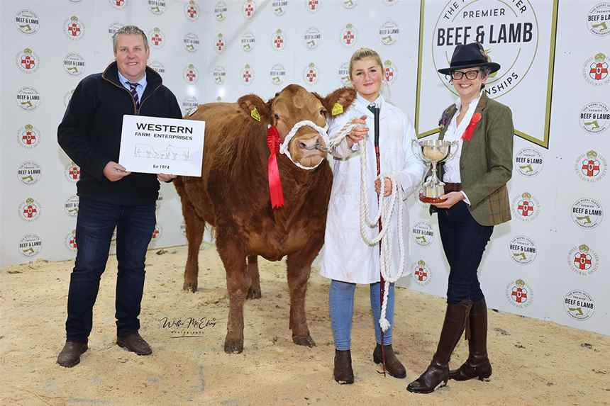 Champion Young Handler 13-16 years old