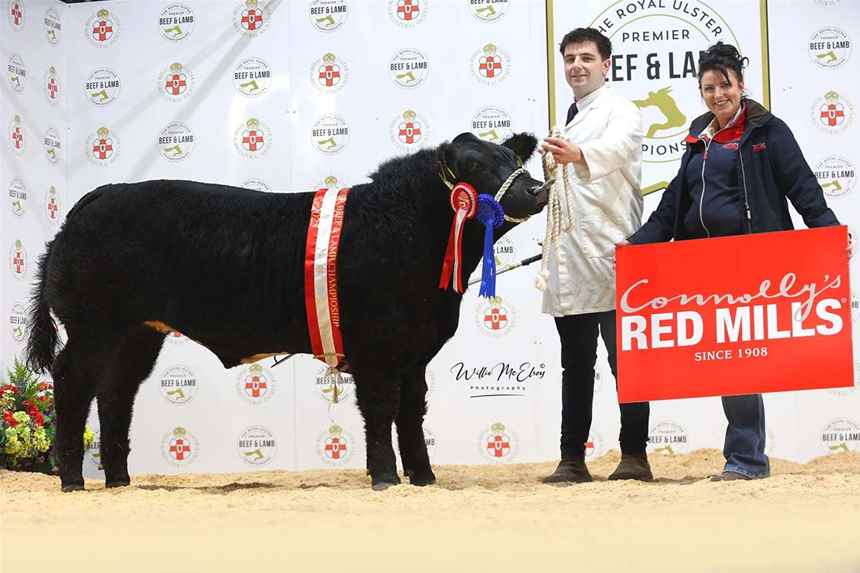 Reserve Champion YFCU