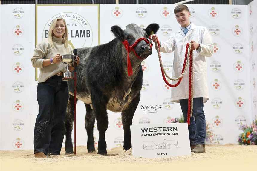 25 Champion Young Handler 1316 years old