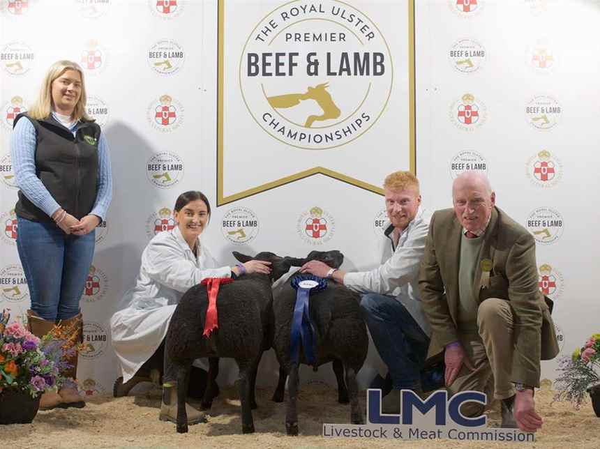 Dutch Spotted over 42.5kg