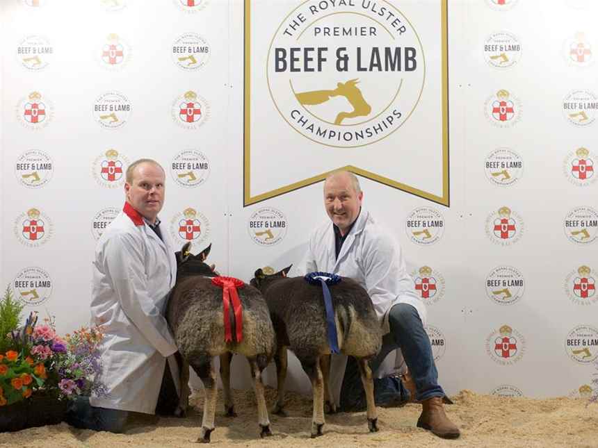 Any other Breed over 42.5kg