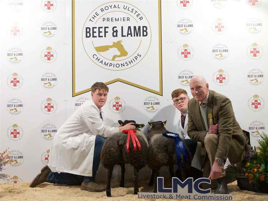 Commercial 36-42.5kg