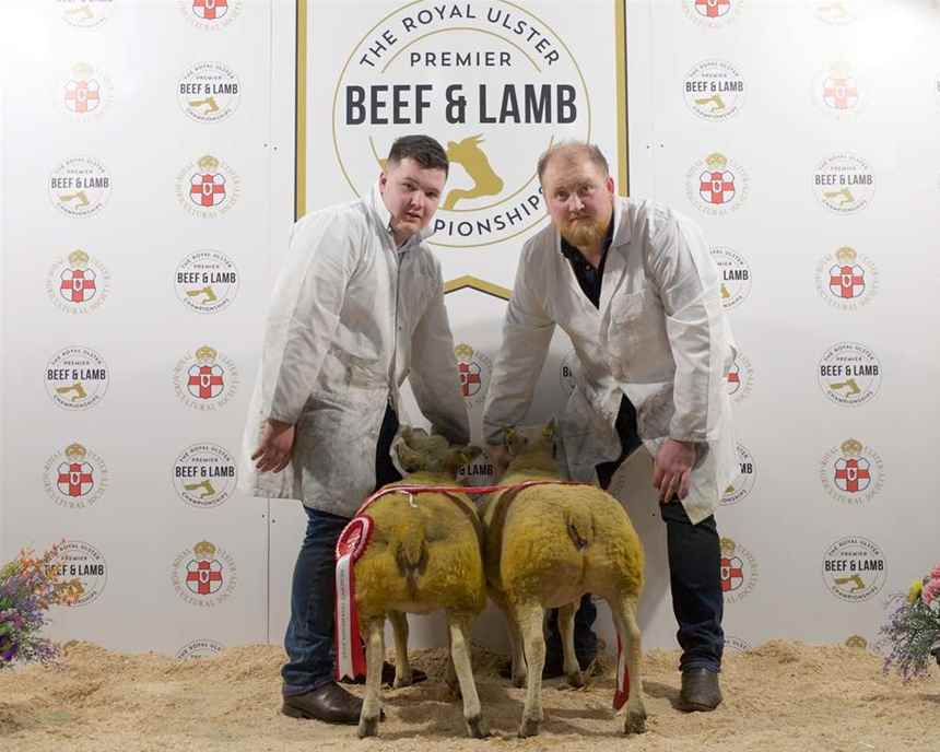 Reserve Champion YFCU