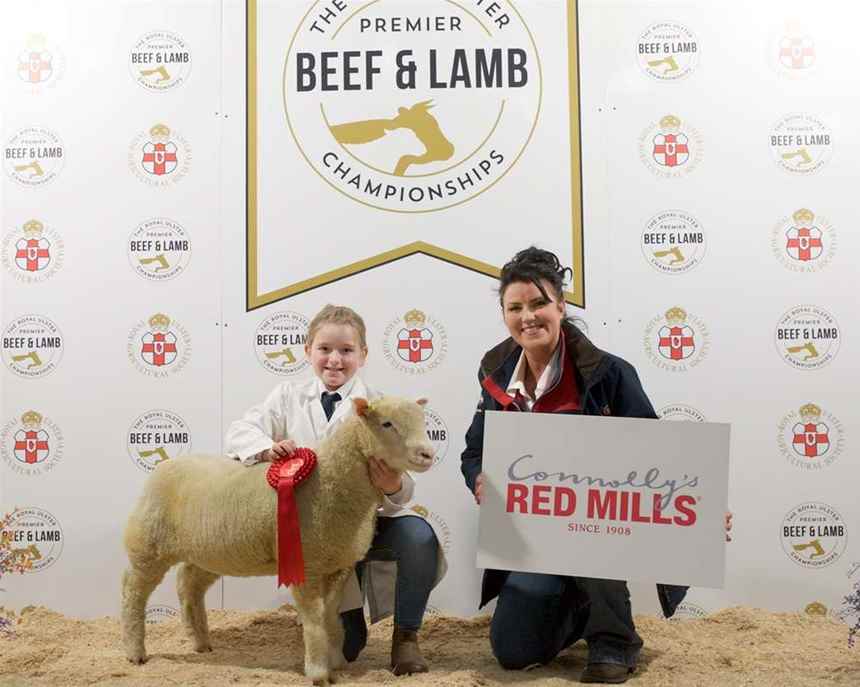 Lamb Young Handler 8-11 years old