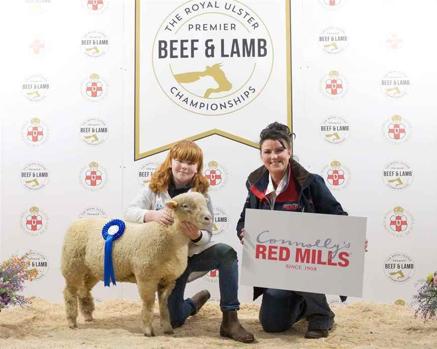 Reserve Lamb Young Handler 8-11 years old