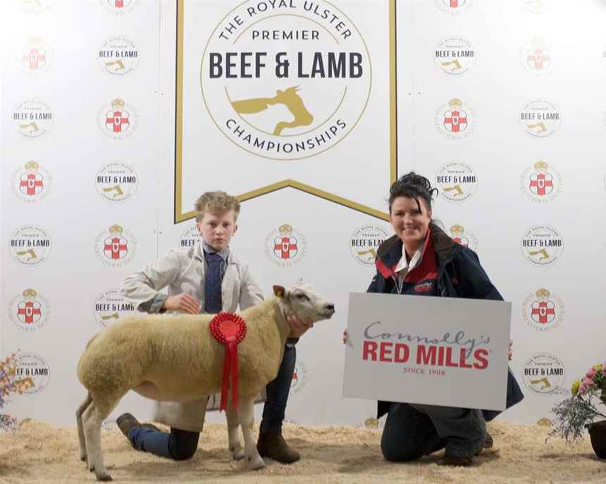 Lamb Young Handler 12-14 years old