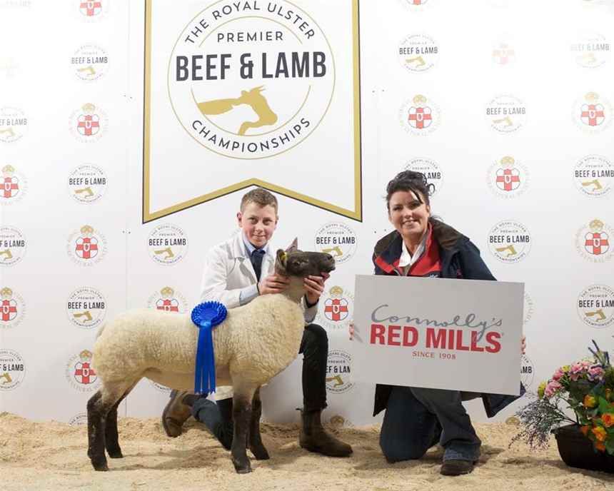 Reserve Lamb Young Handler 12-14 years old