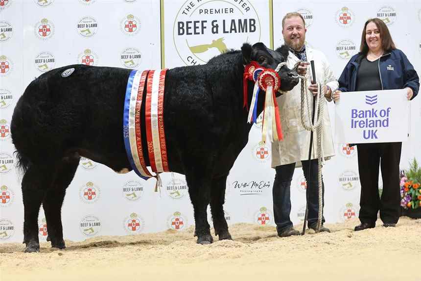 Reserve Supreme Champion