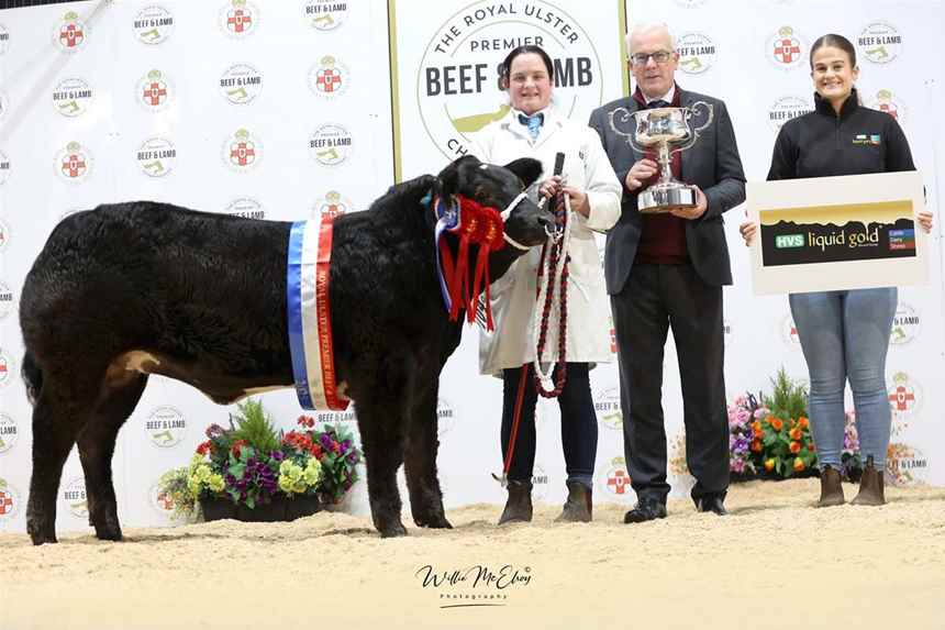 Champion Calf 