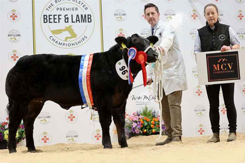 Top Priced Animal and Junior Beef Champion