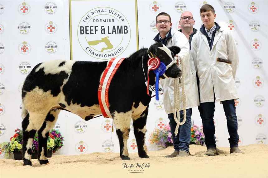 Reserve Junior Beef