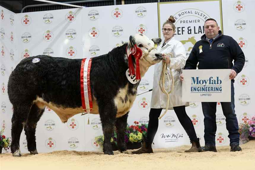Reserve Champion Hereford	