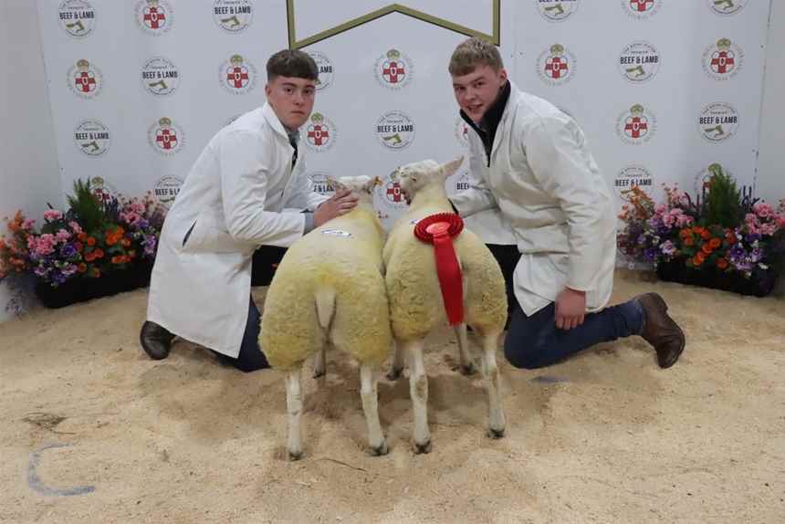 Beef and Lamb Championships Gallery | gallery | Royal Ulster ...