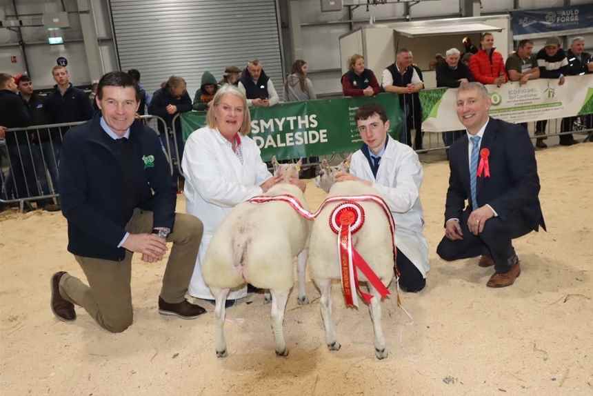 Reserve Butchers Lambs