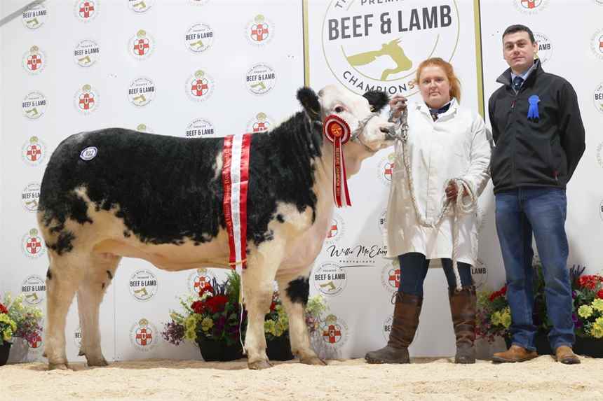 Champion Hereford Large