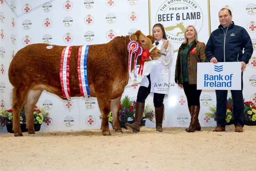 Reserve Supreme Champion