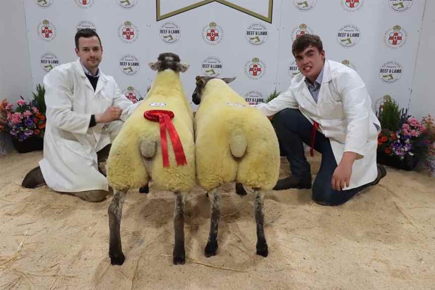 Texel Over 425kg