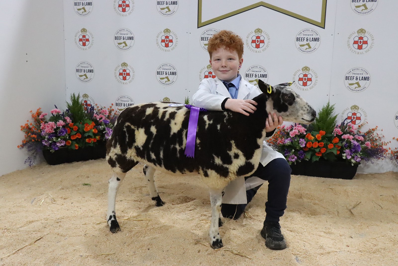 ROYAL ULSTER PREMIER  BEEF & LAMB CHAMPIONSHIPS