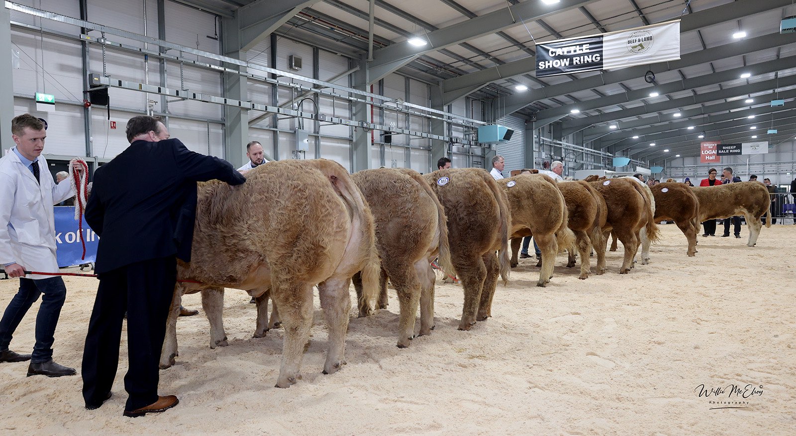 ROYAL ULSTER PREMIER  BEEF & LAMB CHAMPIONSHIPS