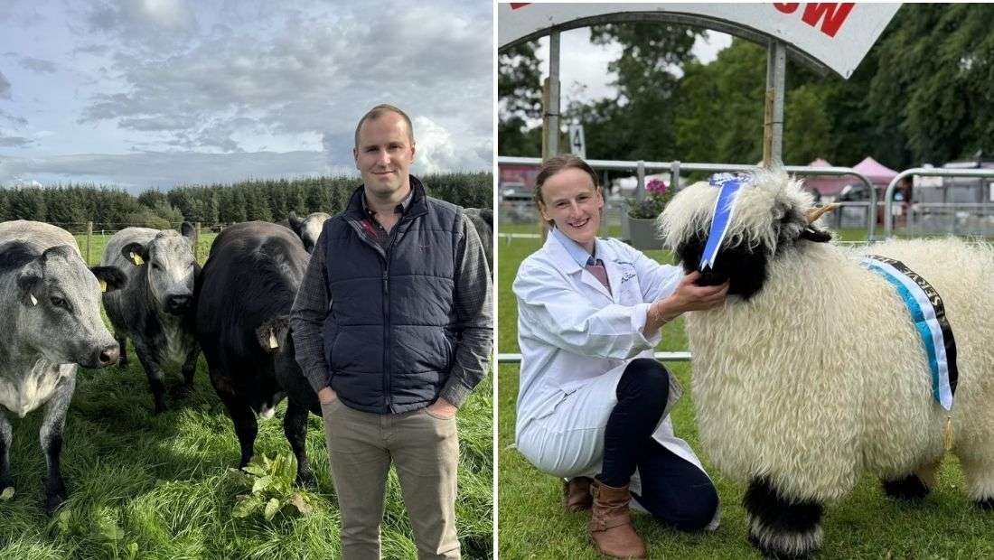 Prime Choice of Judges Join the Beef & Lamb Panel