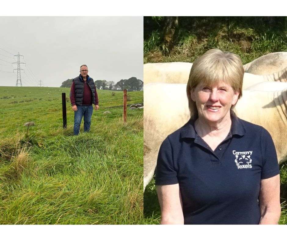 Lamb Judging Line Up Announced for 2024 Championships 