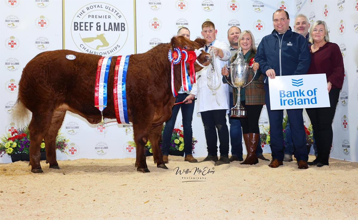 Electric Atmosphere Engrossed Crowds at This Year’s Premier Beef & Lamb Championships
